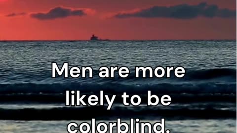 Male Fact