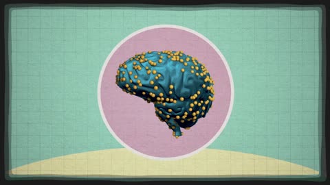 The effects of food on the brain