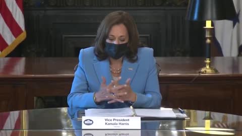 CRAZY Kamala Describes Herself As A "Woman Sitting At The Table Wearing A Blue Suit"