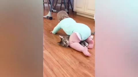 Baby VS Cat funny video_ part-13_(720HD).mp4