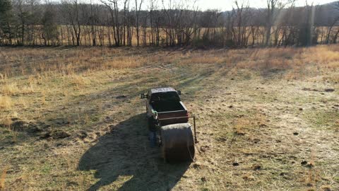 Feeding Hay - view from above on a cold windy morning!