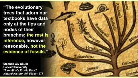 Taxonomic Classification