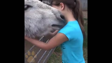 Animals that do not forget their owner after years...Very touching video