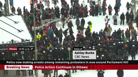 Ottawa police use chemical irritant as they confront protesters