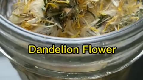 KIDNEY PROBLEMS? TRY DANDELION