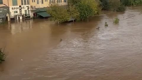 Major flooding in Asheville after Helene