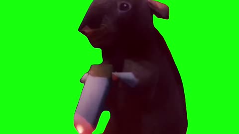 Smoking Rat | Green Screen