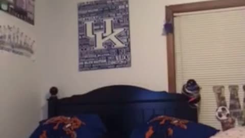 Green tank top girl tries to do back flip on blue bed breaks it