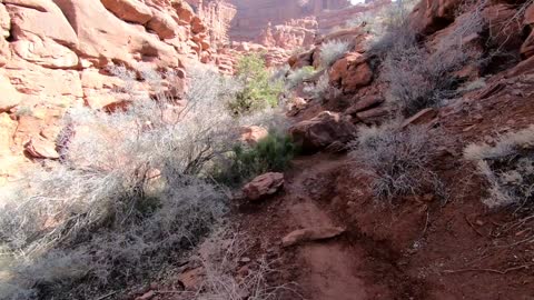 Fisher Towers Hike Moab Utah 2020