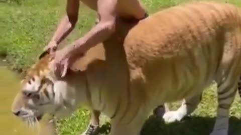 animal funny videos# 1