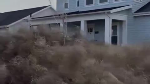 Hundreds of Thousands of Tumbleweeds Have Taken Over a Utah Neighborhood