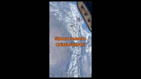 Insects flying around space station proving it's all a lie.