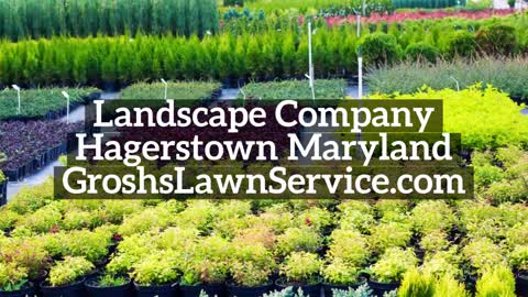 Fall Planting Hagerstown Maryland Landscape Company