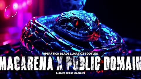 Macarena X Public Domain - Operation Blade LUNATICZ Bootleg (James Rease Mashup)