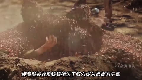 ANT MOVIE EXPLAIN IN CHINESE