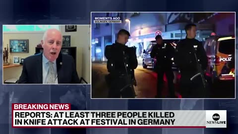 Several people killed in Germany after knife attack at music festival_ Police