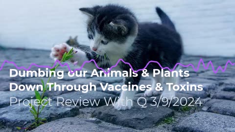 Dumbing Our Animals And Plants Down Through Vaccines And Toxins 3/9/2024