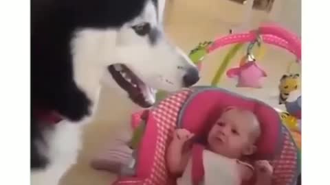 Cute baby funny and dog