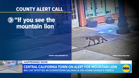 Central California town on alert for mountain lion