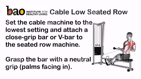 exercise Cable Low Seated Row