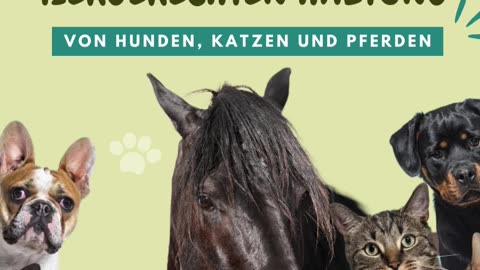 Die besten Tipps zur artgerechten Haltung von Katze, Hund und Pferd https://t.ly/lm5em