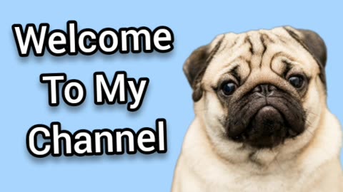 Welcome To My Channel | @PuggiePugster