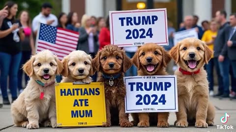 Cats And Dogs Have Spoken