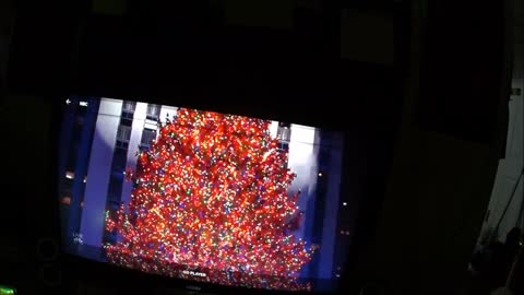 lighting the xmas tree in rockafeller center 2021 (ORIGNAL)