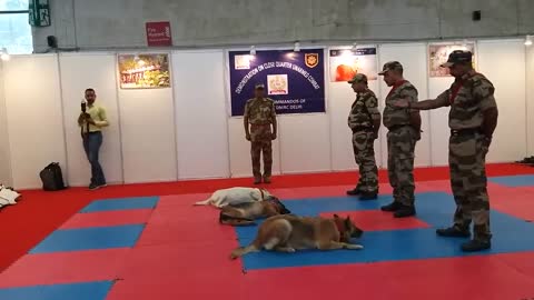 Dog training in army pattern ||