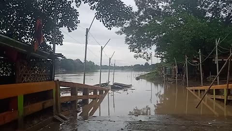 flood today in India Bangladesh border 😭 22/08/2024