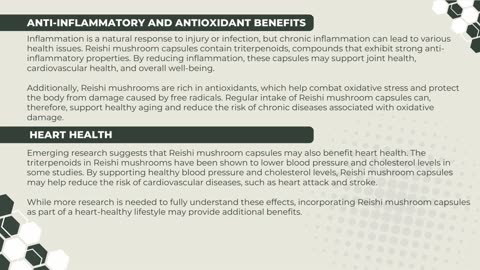 Organic Reishi Mushroom Capsules A Natural Approach to Vitality