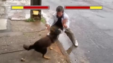 Dog Vs ManTo the sound of Mortal Kombat