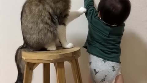 Cat blocks little boy door opening🙀😻😂