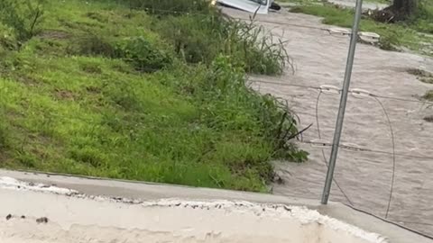 Box Truck Drivers Through Flooded Road