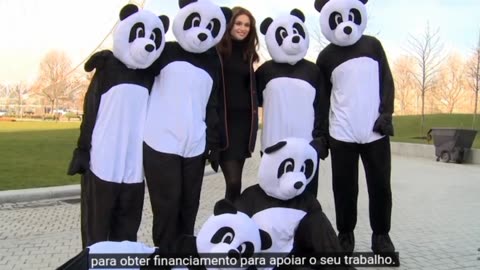 (WWF) World Wide Fund for Nature trabalha diretamente com forças paramilitares em toda a África e Ásia. Em 2019, a organização de conservação foi acusada de financiar guardas florestais que estavam implicados no assassinato, tortura e estupro de c