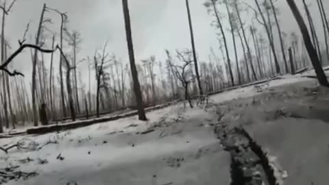 ‼️ Footage of a shooting battle in the forests near Kremena through the eyes of our