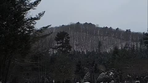 snowy south korea