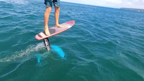 Hydrofoil Surf in Hawaii