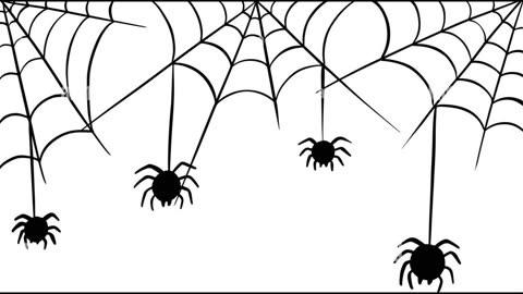 Episode#64 The not so itsy bitsy spiders stood guard over me this night