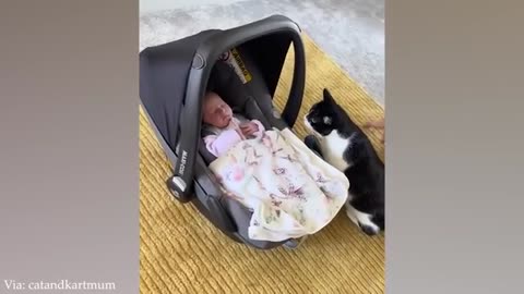 When your cat become a special friend 👶❤️🐱