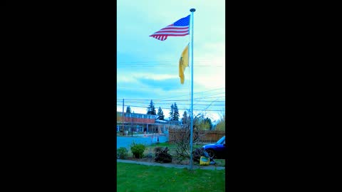 Old Glory, The Gadsden Flag, & The Star Spangled Banner