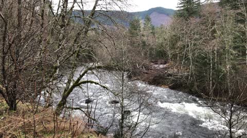 Salmon River Clackamas County Oregon