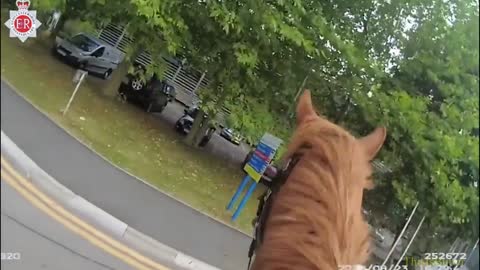 Mounted police swoop on drink-driver guzzling cider at wheel outside hospital