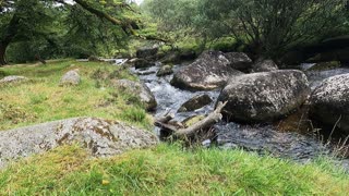 River in dartmoor