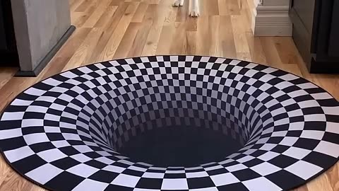 Dogs funny reaction to entering optical illusion rug!