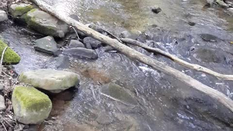 RELAXING SOUNDS OF A BABBLING BROOK...RESEVOIR PARK, TYRONE, PA.