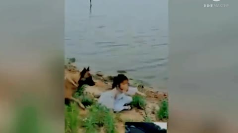 A hero dog saves a little girl life