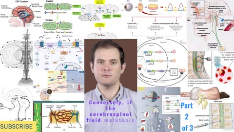 Journey into the Mid-Line of the Brain: Unveiling Pineal Gland Mysteries_Episode 2 of 3