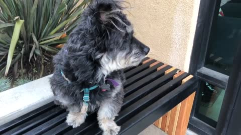 DIY a Sleek Slatted Bench with Ease