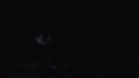 full | moon | raw 10